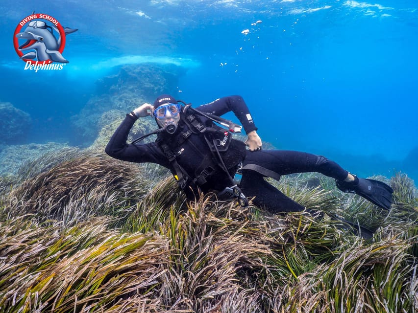 Gran Canaria: Discover Scuba Diving Beginner Program - Equipment, safety, and comfort