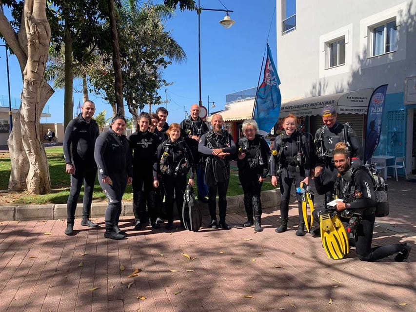 Gran Canaria: Discover Scuba Diving Beginner Program - What you may see beneath the surface