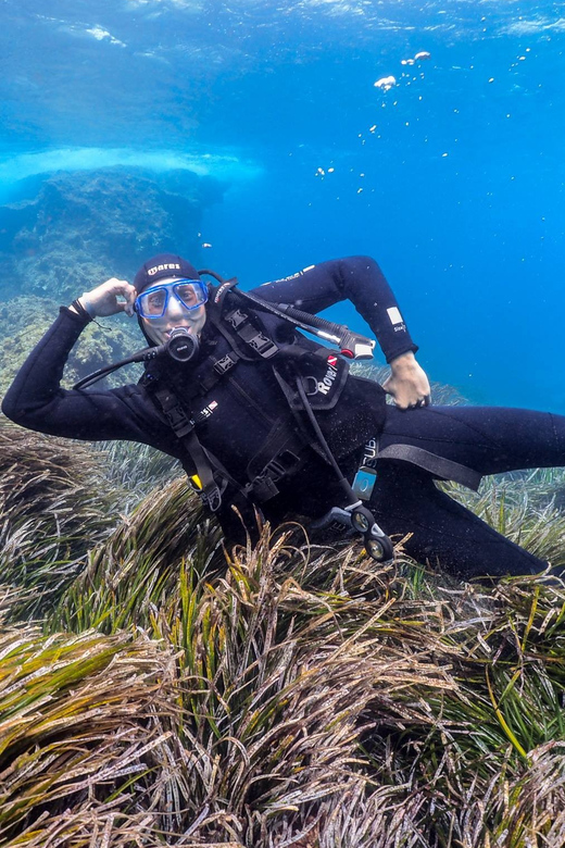 Gran Canaria: Discover Scuba Diving Beginner Program - Is $117 good value?