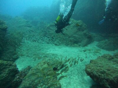 Discover Scuba Diving – Free Transfers