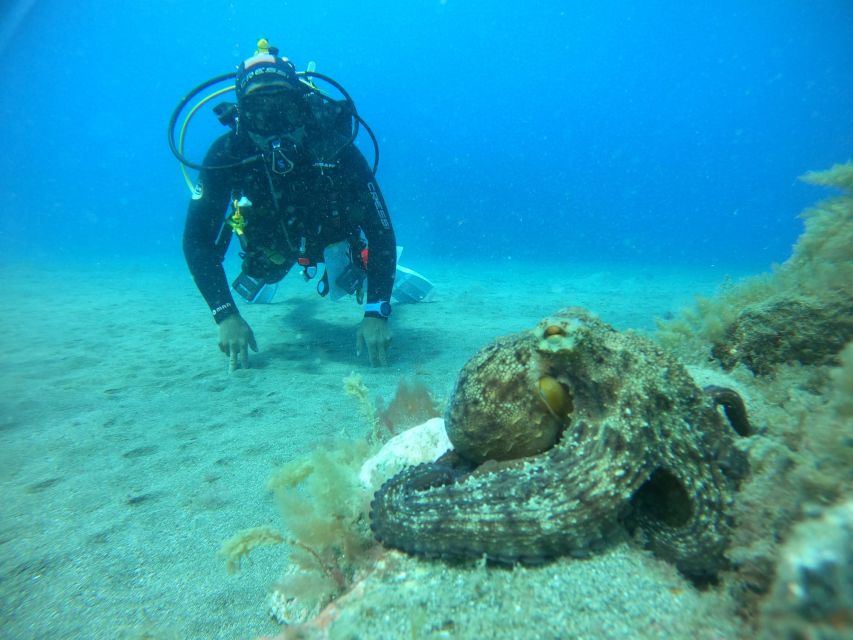 Gran Canaria: Discover Scuba Diving - Free Transfers - Who will enjoy this most