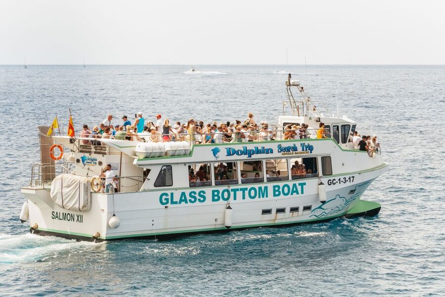 Gran Canaria: Dolphin and Whale Watching Cruise - How the crew shapes the experience
