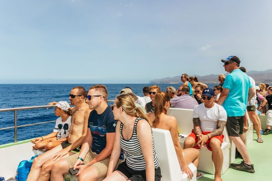 Gran Canaria: Dolphin and Whale Watching Cruise - What the $40 price really covers