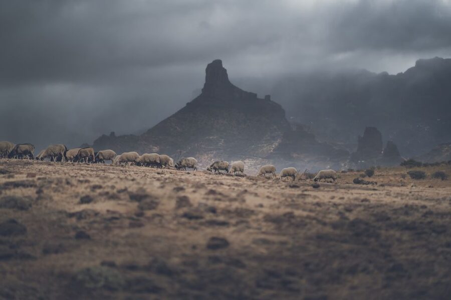 Gran Canaria: Full-Day Customizable Private Photography Tour - A private tour with a clear price tradeoff