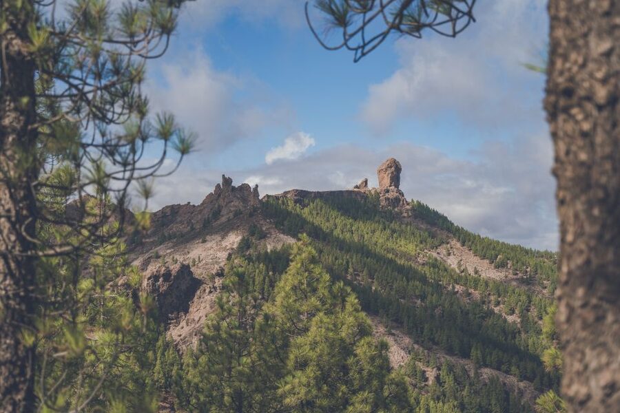 Gran Canaria: Full-Day Customizable Private Photography Tour - Markets, cheese, wine, and rum