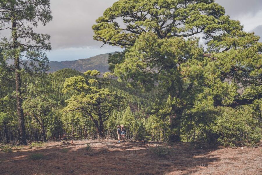 Gran Canaria: Full-Day Customizable Private Photography Tour - What the photography service really adds