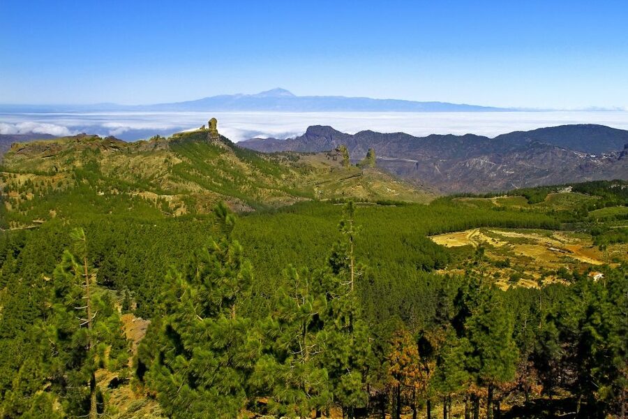 Gran Canaria: Full-Day VIP Tour by Bus - Lunch in the mountains, optional but useful