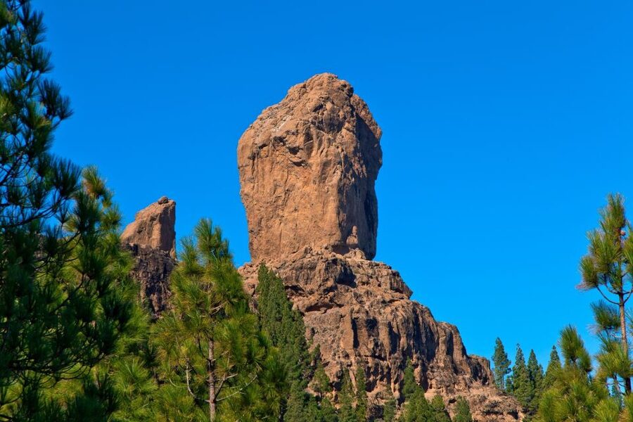 Gran Canaria: Full-Day VIP Tour by Bus - Guayadeque, where homes meet the rock