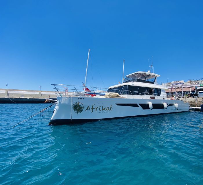 Gran Canaria: Fun Catamaran Cruise with Food and Drinks - Timing, transfers, and comfort