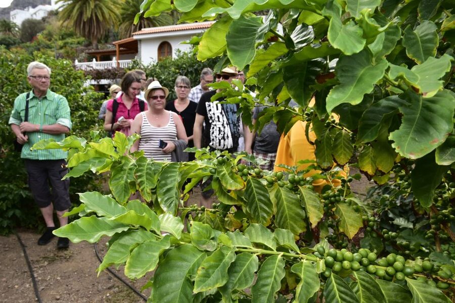 Gran Canaria: Grand Island Tour by Bus with Transfers - Las Palmas finishes at Las Arenas