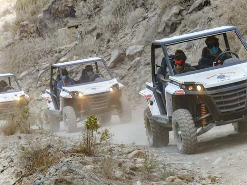 Gran Canaria Guided Buggy Tour - Why the Ayagaures Valley makes this tour worthwhile