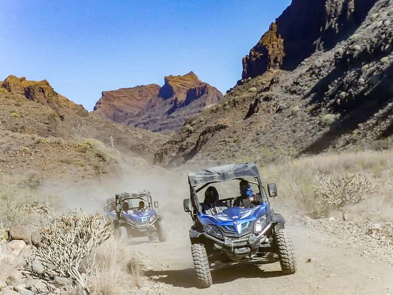 Gran Canaria Guided Buggy Tour - Is $85 per person good value?