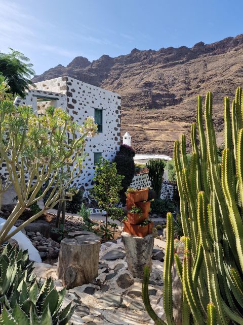 Gran Canaria historical house with mango plantation - Gazpachuelo de mango, the unusual finish
