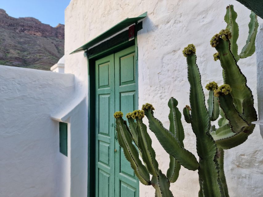 Gran Canaria historical house with mango plantation - Optional food at Valle de Mogán