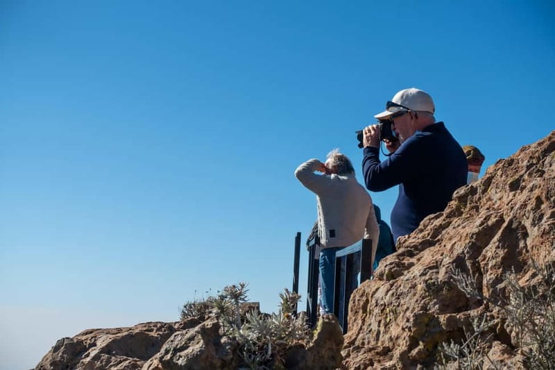 Gran Canaria: Island Highlights Tour with Optional Lunch - Key points to know before booking