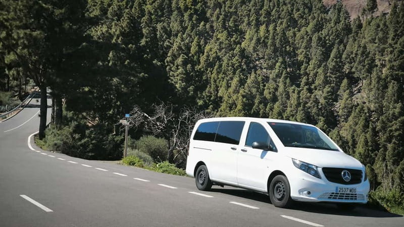 Gran Canaria: Island Highlights Tour with Optional Lunch - From Maspalomas to the island’s high country