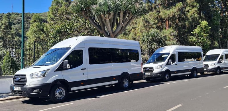 Gran Canaria: Island Highlights Tour with Optional Lunch - What the $79 price really includes