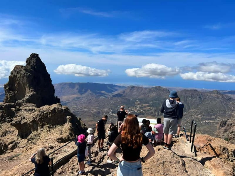 Gran Canaria: Island Highlights Tour with Optional Lunch - Who will enjoy this Gran Canaria day trip