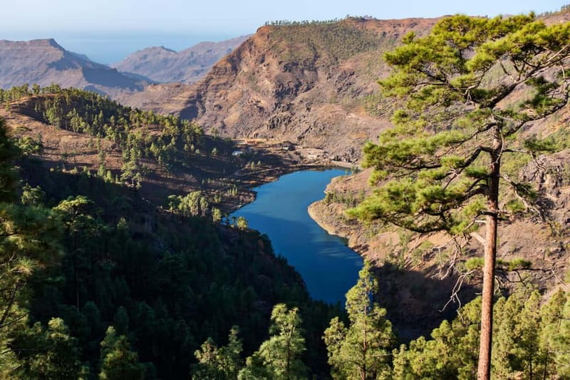 Gran Canaria: Island Highlights Tour with Optional Lunch - Aloe Vera Finca Canarias, a practical first stop