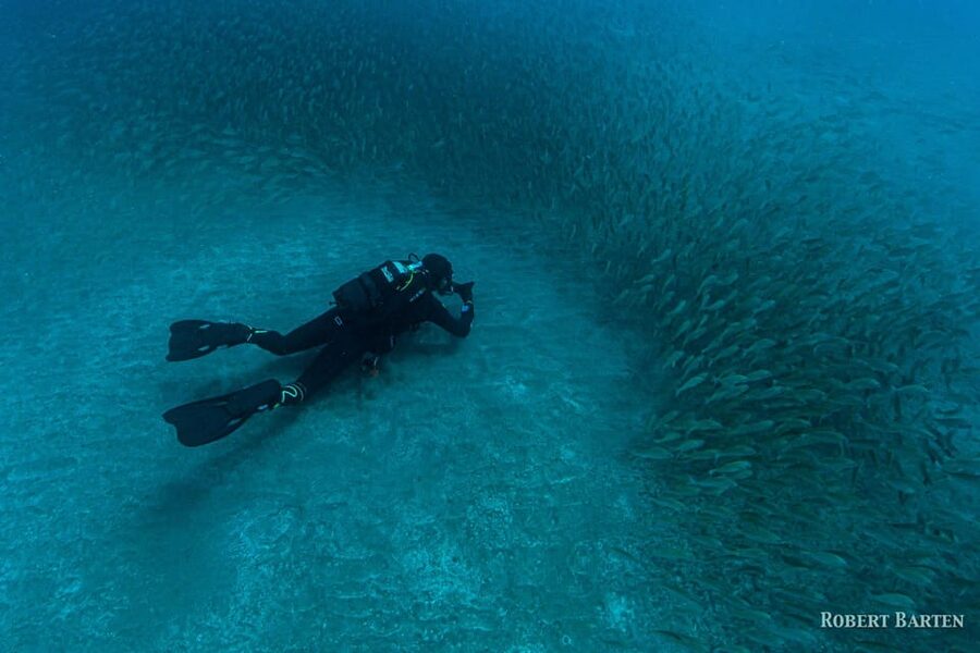 Gran Canaria:Live an Adventure and Learn to Dive with Expert - Getting fitted with the equipment