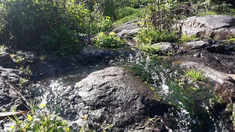 Gran Canaria: "Magic Waterfalls" Hiking Tour - Key points to know before booking