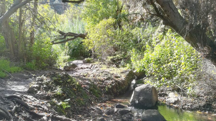 Gran Canaria: "Magic Waterfalls" Hiking Tour - Why the waterfalls show another side of Gran Canaria