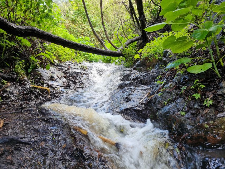 Gran Canaria: "Magic Waterfalls" Hiking Tour - Is $74 good value?