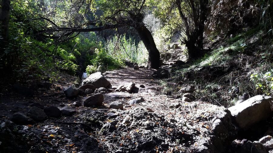 Gran Canaria: "Magic Waterfalls" Hiking Tour - Should you book the Magic Waterfalls hike?
