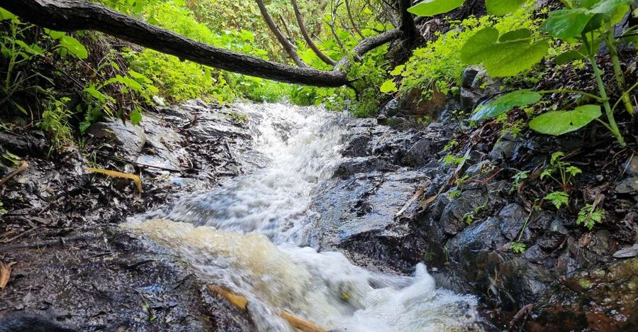 Gran Canaria: "Magic Waterfalls" Hiking Tour - A seven-kilometer walk with real mountain footing