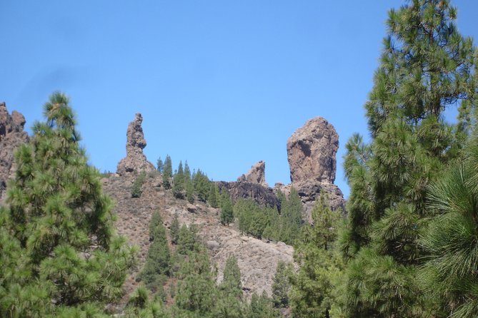 Gran Canaria Peaks Full-Day Tour from Las Palmas - Why Gran Canaria’s interior is worth a full day