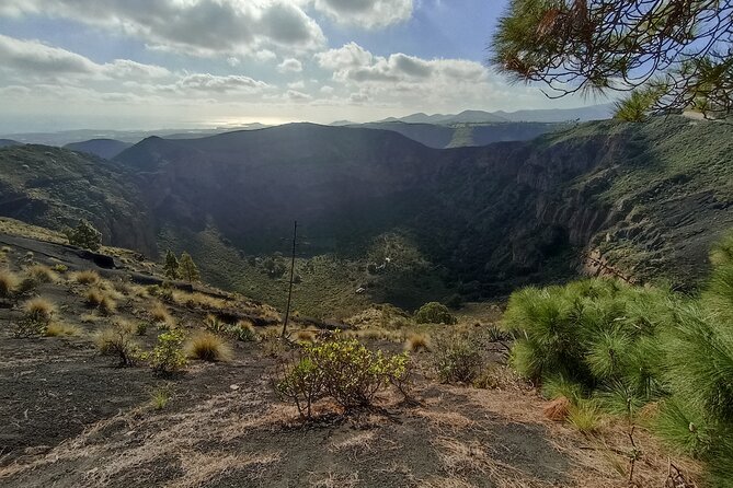 Gran Canaria Premium Tour: Volcanoes and Wine for cruisers - From the cruise terminal to Gran Canaria’s volcanic heart
