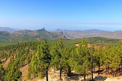 Gran Canaria Premium Tour: Volcanoes and Wine for cruisers