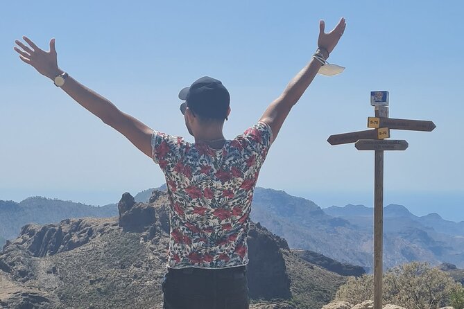 Gran Canaria Premium Tour: Volcanoes and Wine for cruisers - Timing, weather, and the cruise schedule