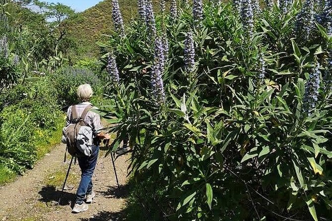 Gran Canaria private walks - Meeting your guide at 9:00 am