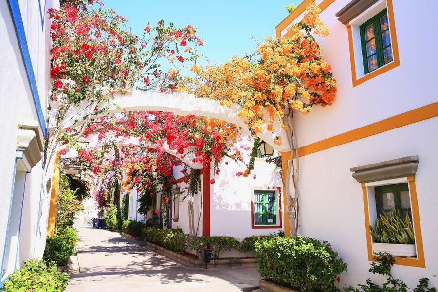 Gran Canaria: Puerto de Mogán Local Market Day Trip - Getting there by air-conditioned coach
