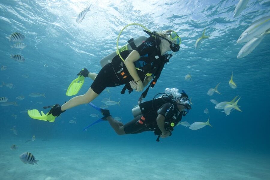 Gran Canaria: Scuba Diving for Beginners - Getting comfortable in shallow water