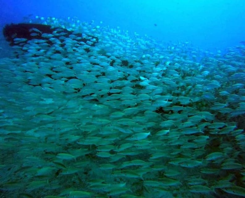 Gran Canaria: Scuba Diving for Beginners - The open-water session near Puerto Rico