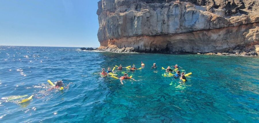 Gran Canaria: Snorkel tour with boat on the west coast - Should you book the Puerto de Mogán snorkeling tour?