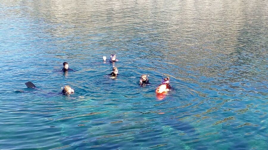 Gran Canaria: Snorkeling Trip - Key points at a glance