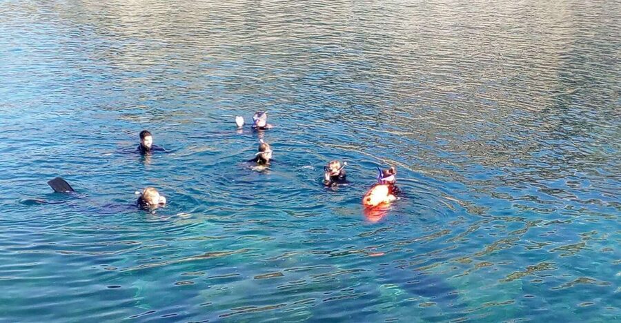 Gran Canaria: Snorkeling Trip - Starting at the Puerto Rico snorkeling center