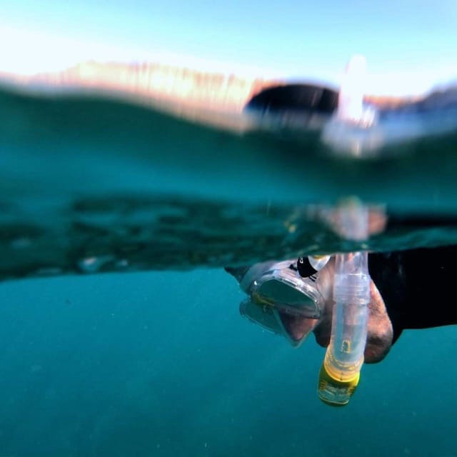Gran Canaria: Snorkeling Trip - Reaching the local beach
