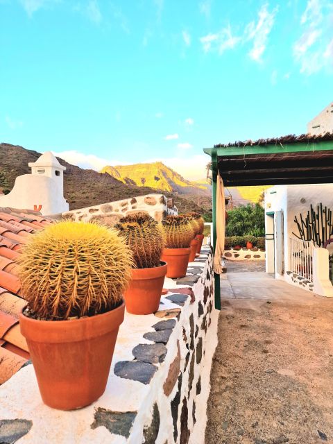 Gran Canaria: Spanish Tapas and Wine Tasting Tour in Mogan - Booking and cancellation details