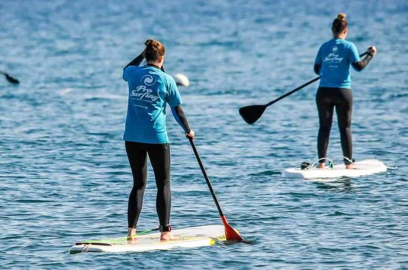 Gran Canaria: Stand-Up Paddle Lesson & Snorkeling Tour - The 20-minute van ride to the coast