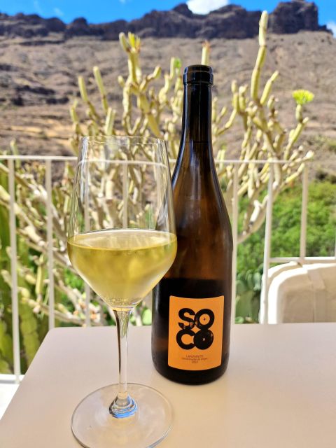 Gran Canaria: tasting wine & local cheese - Timing, cancellation, and practical planning
