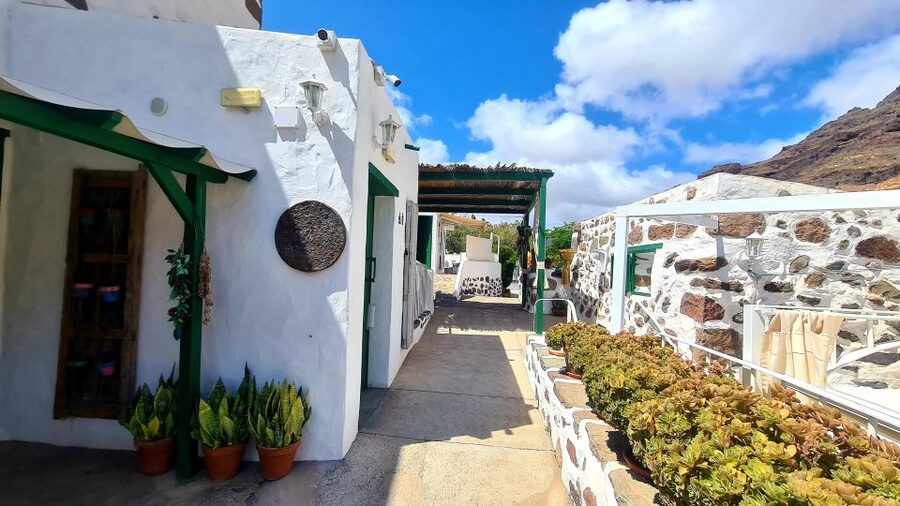 Gran Canaria: tasting wine & local cheese - Meeting Katerina at Valle de Mogán restaurant
