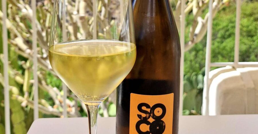 Gran Canaria: tasting wine & local cheese - Who will get the most from this experience
