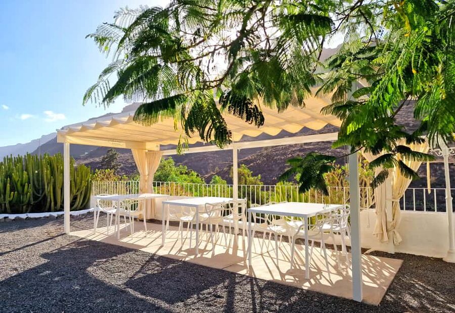 Gran Canaria: tasting wine & local cheese - The value of $63 per person