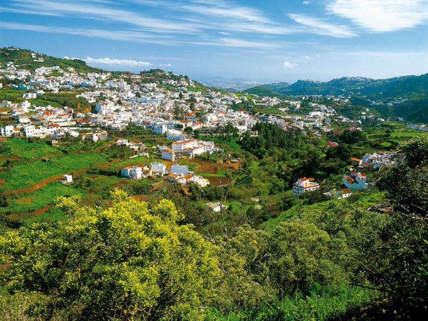 Gran Canaria Tour: Past and Present - The aloe vera farm visit