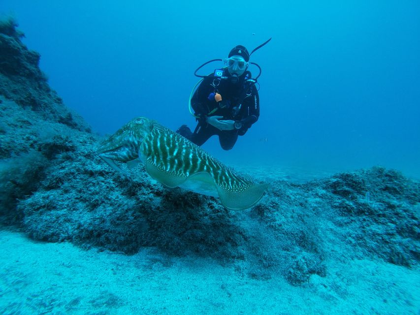Gran Canaria: Try Scuba Diving for Beginners - What to bring and what not to overlook