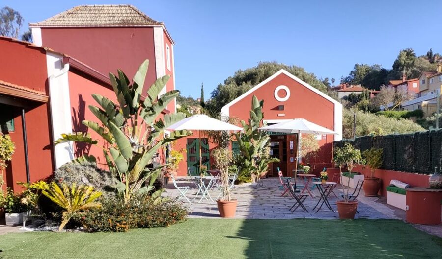 Gran Canaria: Winery Tour, Wine Museum, and Tasting - Is $34 good value for 1.5 hours?